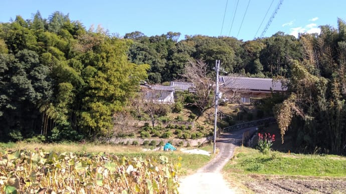 大和三山「天の香具山」へ上ろう、