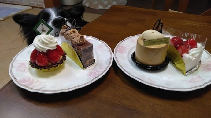 フォアグラディナー