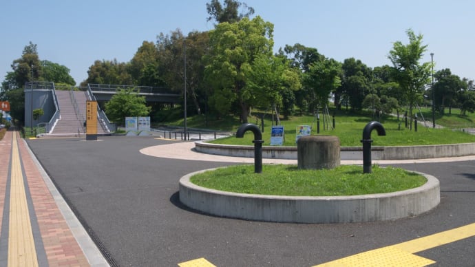 5月の夢の島公園:JR新木場駅から夢の島公園のゆうかり橋・公園入口前へ PART2