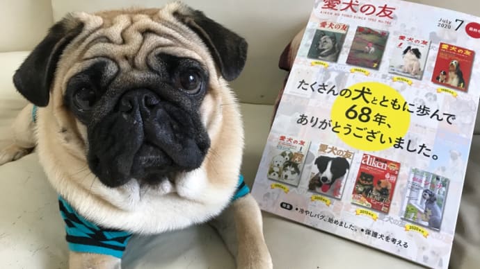 愛犬の友7月号