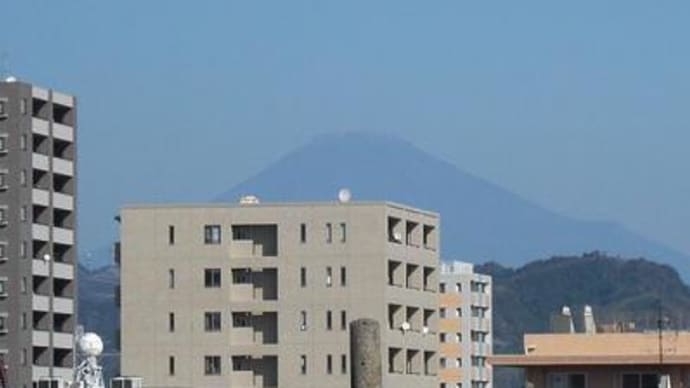 留守番、静岡はいい天気