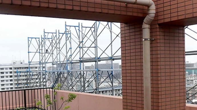 足場ついに我が家の外まで来た(2024/10/8)