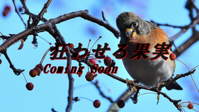 狂わせる果実