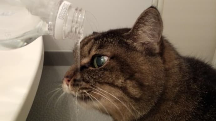 老眼疑惑
