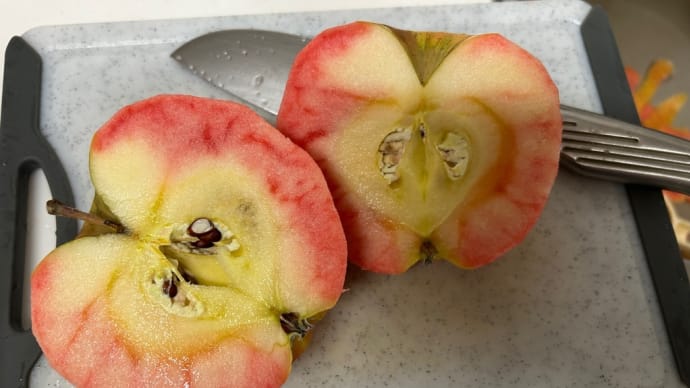 赤いりんご🍎