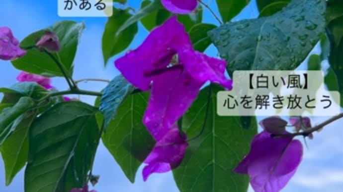 〜マヤ暦 K230 白い犬・白い風・音9〜 星からメッセージを受け取れるかな?