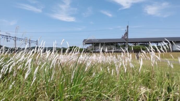 お久しぶりの風景