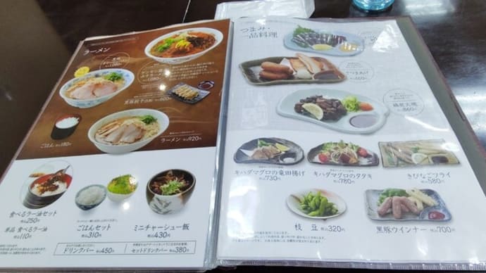 |M3263|鹿児島空港ビル2F『エアポート山形屋食堂』にお邪魔。生ビ&きびなご刺身&さつま揚げで開始し、黒豚餃子を味わって、締めの霧島サーモンのわんたんめんがうまかった!