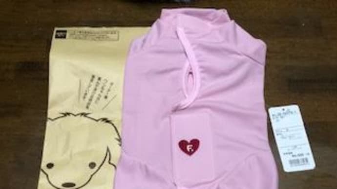 愛猫ショコラ　新しい洋服