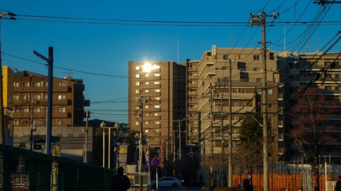 早朝散歩の風景 朝陽と影
