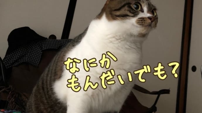 ミルクと毛布