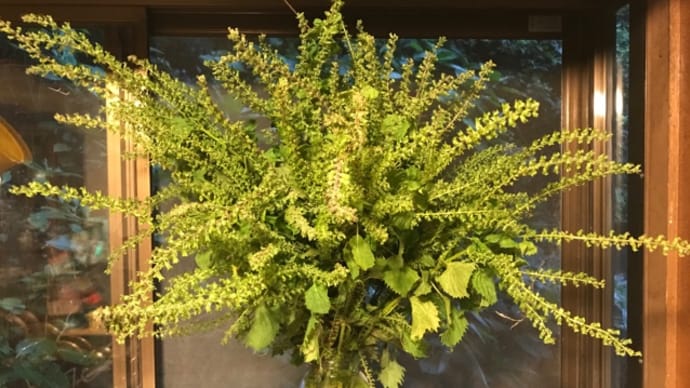 緑の花束
