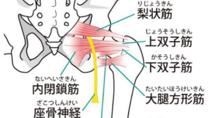 【練習日記】211113 好調だがケアも入念に