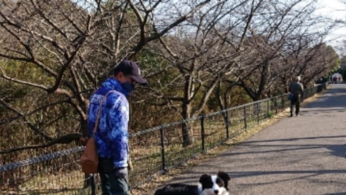 地元でロング散歩 してきました