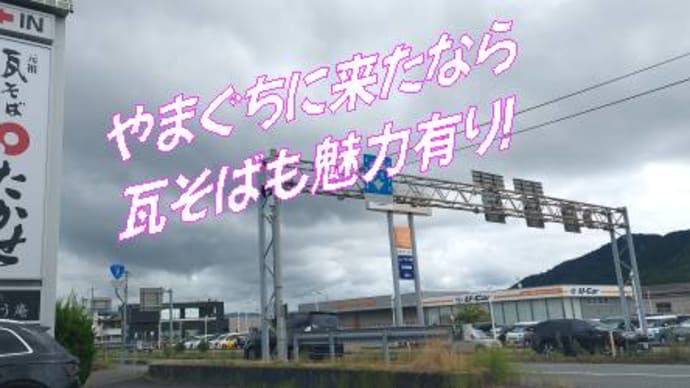 お茶も美味しい~隠れたお味・・山口県たかせ瓦蕎麦のお茶!揚げ物定食はお安い価格