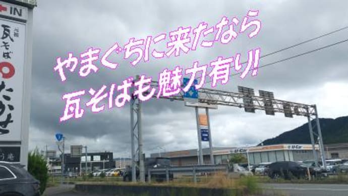 お茶も美味しい～隠れたお味・・山口県たかせ瓦蕎麦のお茶！揚げ物定食はお安い価格