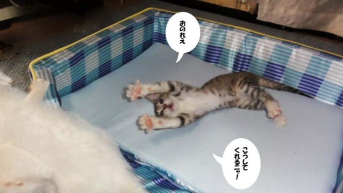 エスパー