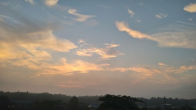 クレイジーソルトの空