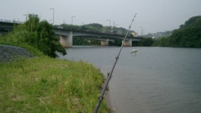 火曜の釣り、続き