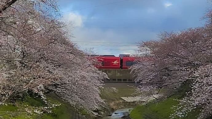 桜と近鉄電車