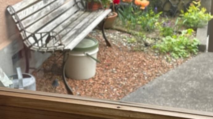 ドアから覗く花に癒されて
