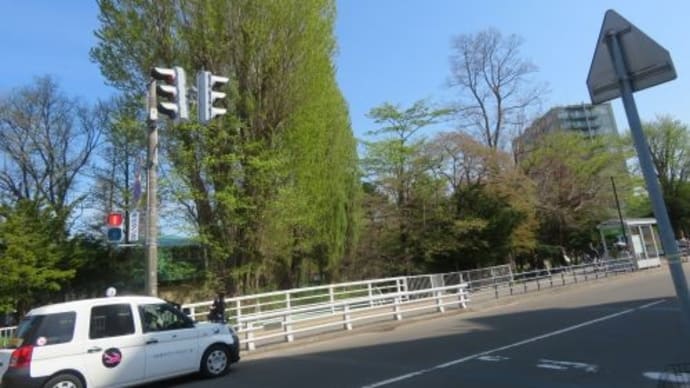 精進川散策路の散歩