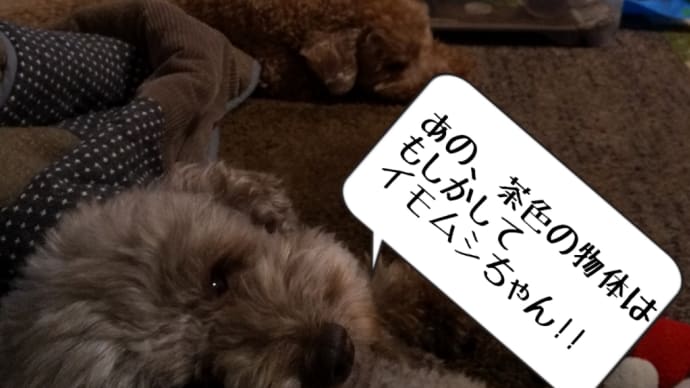 イモムシ。
