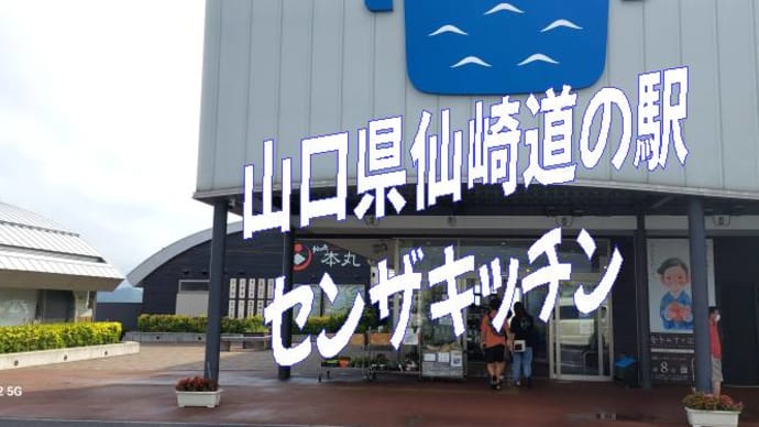 山口県仙崎干物食堂の「ひだまり」さんの鯖ミンチカツが絶品だった！