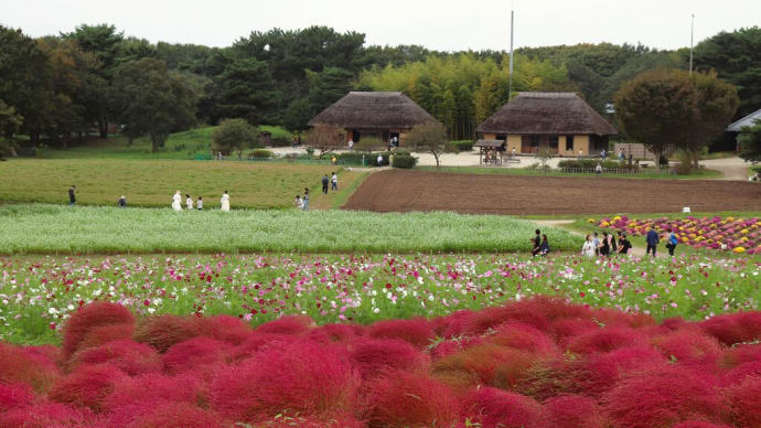 国営ひたち海浜公園
