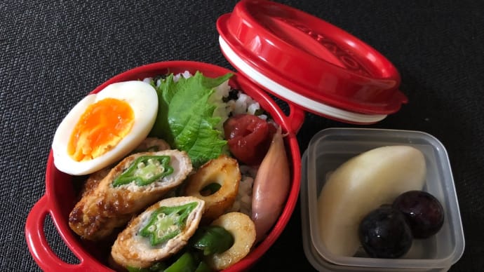 ワンパターン弁当と歯のクリーニング