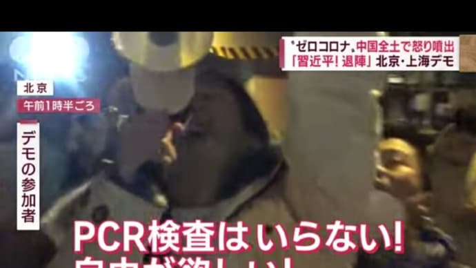 2022年11月、中国の社会、経済の現状 ~ 各地で暴動が多発しているようだ!。
