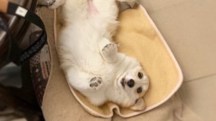 毎日、毎日…