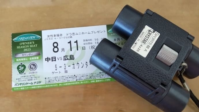 8月11日バンテリンドーム対広島戦