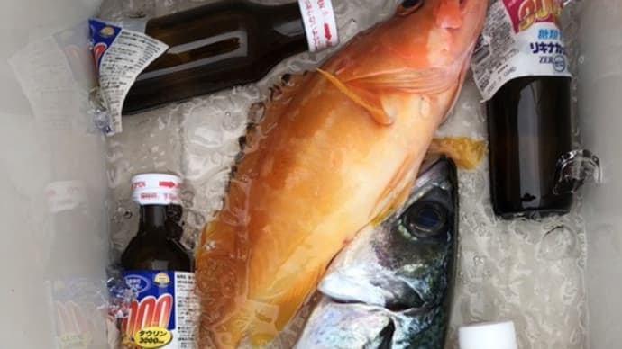 1号船午前便タテ釣り、2号船午後便イサキ釣りです。