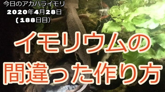 イモリウムの間違った作り方:イモリウムとイモリの飼育方法2020年