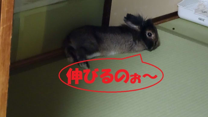 伸びる季節