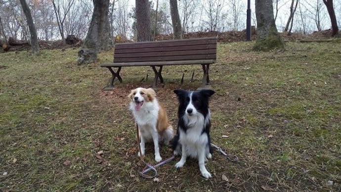 T公園とスシロー