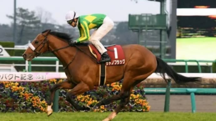 ワクワクした!ディープインパクト記念。