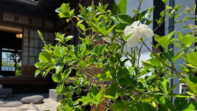 撮影&研修がありました