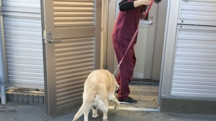 今年の通院も残すところ1回