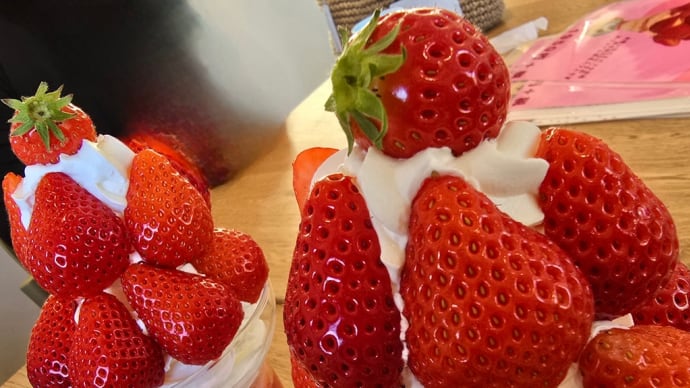 4月 臨時休業日、、、いちごパフェ