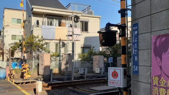 京島と押上を行ったり来たり2024年−3