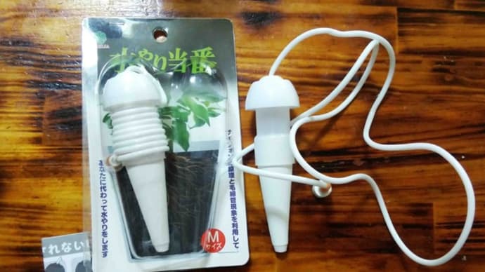 水やり当番