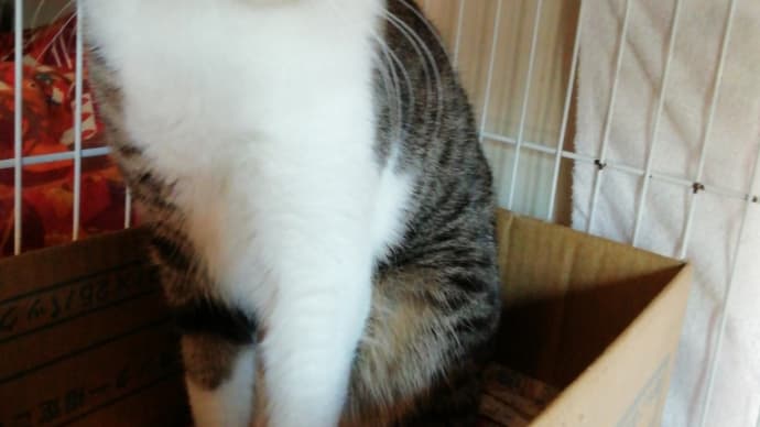 逝くもの、来るもの😢