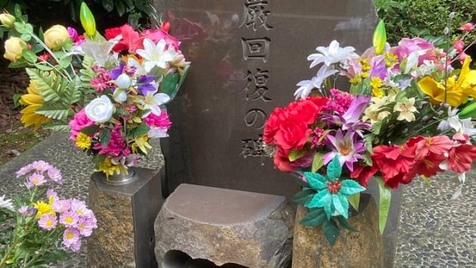 文化放送「全生園の柊」がギャラクシー賞に入賞