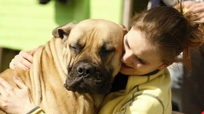 大型犬 高齢犬の介護方法 介護グッズ🐶無駄吠え防止はどうしたらいいの🦆オッポ(OPPO)