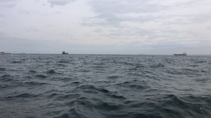 久しぶりに青物見た気がする('ω') 東京湾 スロジギ・中深海便 2022/3/21