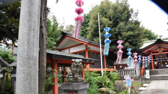 板橋の熊野神社七夕飾り 8