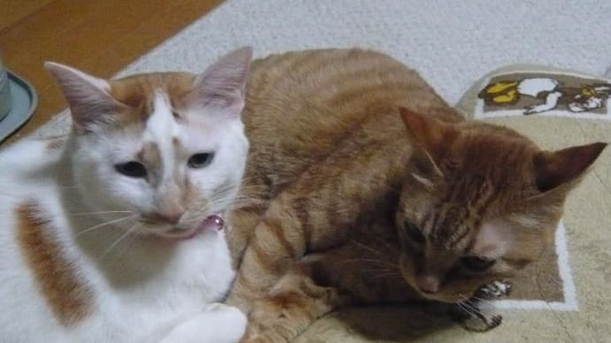 相変わらず