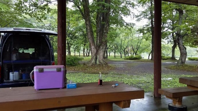 熊ランチ ドッグラン雲谷 ノンママ日記